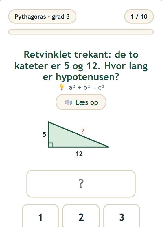 Skærmbillede fra Matematikportalen: opgave om Pythagoras til udskolingen